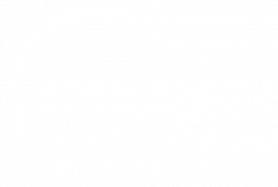 Logo IMSS FULL white